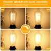 Dimmable Vintage LED Edison Light Bulbs 100W Equivalent, 8W ST58