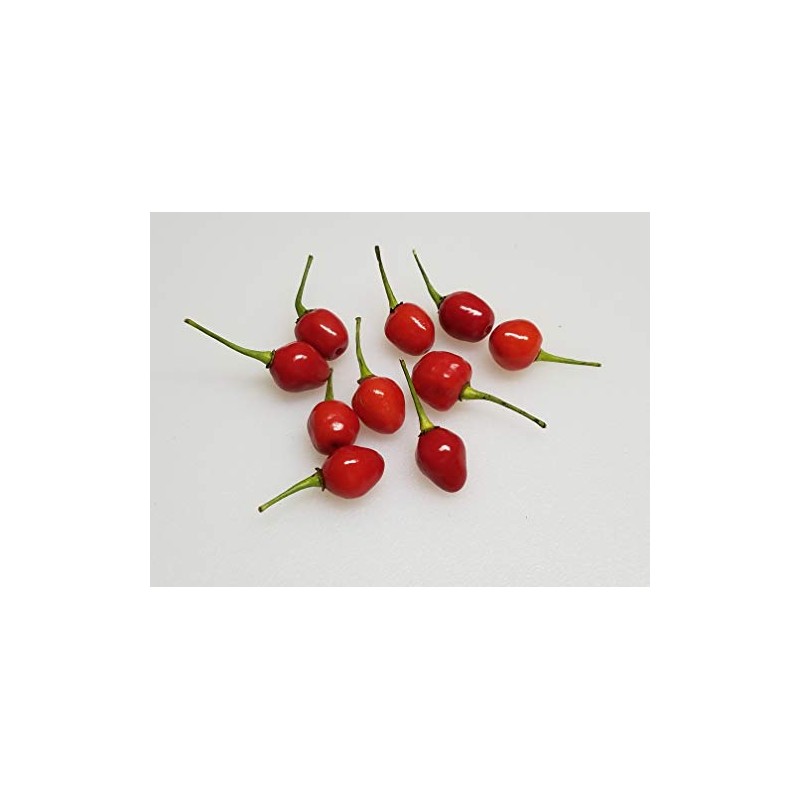 Wiri Wiri Chile Seeds 10+ Seeds