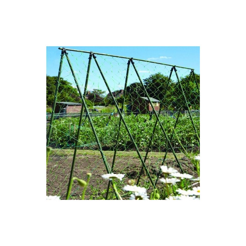 Apollo Gardening Ltd 52541 PEA & BEAN NET 4X2M