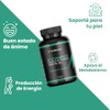 Nuboost Complejo Completo Vitamina 510 Por Cápsula Cápsulas Vitaminas B12