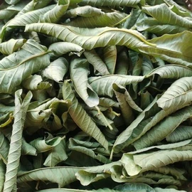 Organic Guava Leave In Bulk Herbal Tea Specialty Tea (250g)