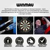 WINMAU Darts - Joe Cullen Special Edition 21 g Darts