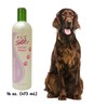 Pet Silk Texturizing Shampoo - Formulated for Coarse Coats -