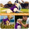 Heavy-Duty Tactical Dog Harness for Large Dogs, No Pull Adjustable