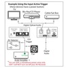 Digital Audio Trigger Device with 12V Outputs - BobWire DAT1