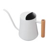 Stainless Steel Watering Can Pot Retro Small Plant Watering Can
