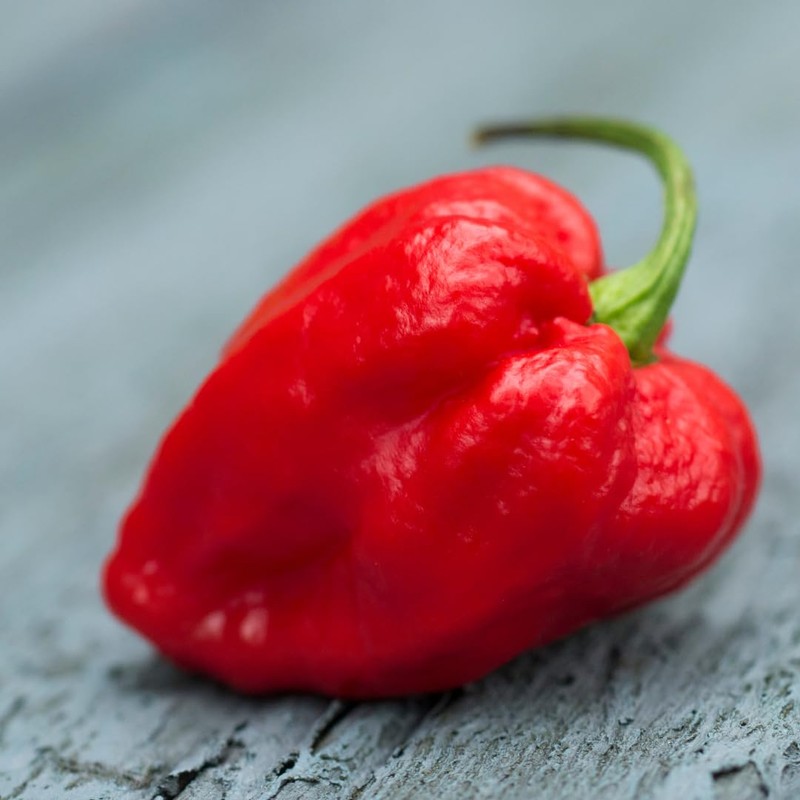 Birch & Meadow Whole Carolina Reaper Peppers, 16 Count, Whole