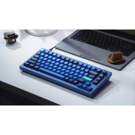 Keychron Q1 RGB Wired Custom Mechanical Keyboard, 75% Layout QMK/VIA Programmable Macro with Hot-swappable Gateron G Pro Blue Switch Double Gasket Compatible with Mac Windows Linux (Blue) -Version 2