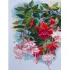 Riolis Stickbildset, Kreuzstich, Motiv Fuchsien, Mittel, Weiß