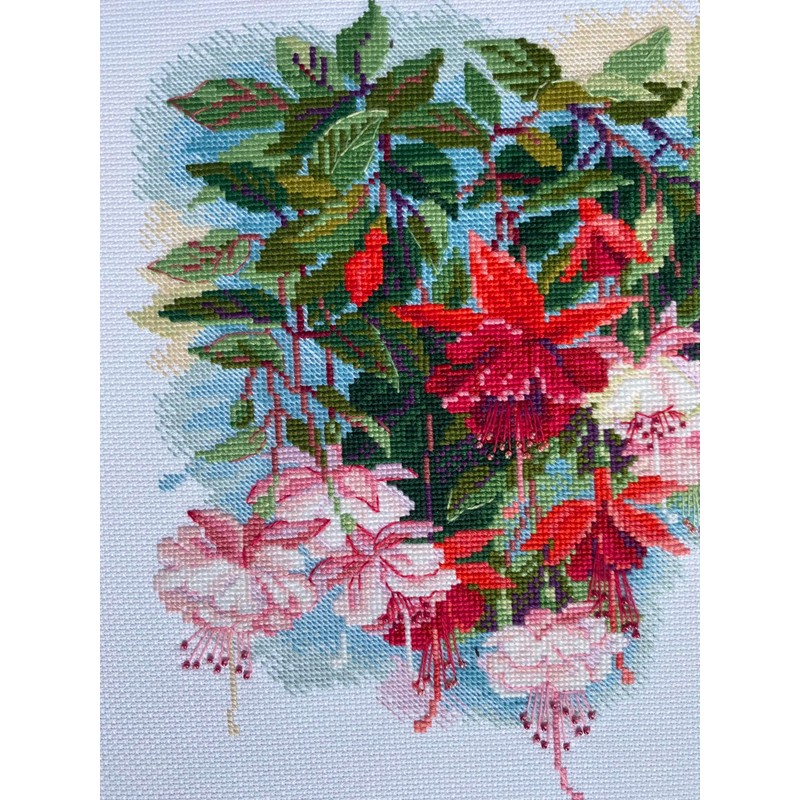 Riolis Stickbildset, Kreuzstich, Motiv Fuchsien, Mittel, Weiß