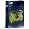 Perler 80-57234 Monstera Plant 3D Fused Bead Craft Activity Kit,