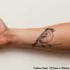 'House Sparrow' Temporary Tattoo - Water Resistant, Skin-Safe, Non-Toxic Transfer