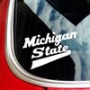 Michigan State University MSU Spartans Hockey Script Logo Car Decal