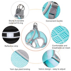 WOCUME Dog Harness with Leash Set, Step-in Breathable Puppy Cat Dog Vest Harnesses, No Pull Adjustable Reflective Puppy Harness with Soft Padded Vest for Extra-Small/Small Medium Large Dogs and Cats