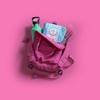 Lil-Lets Teens Starter Pack, containing Teen Pads, Panty Liners &