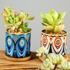 Kingrol 8 Pack Succulent Pots, Mini Ceramic Flower Planter Pot