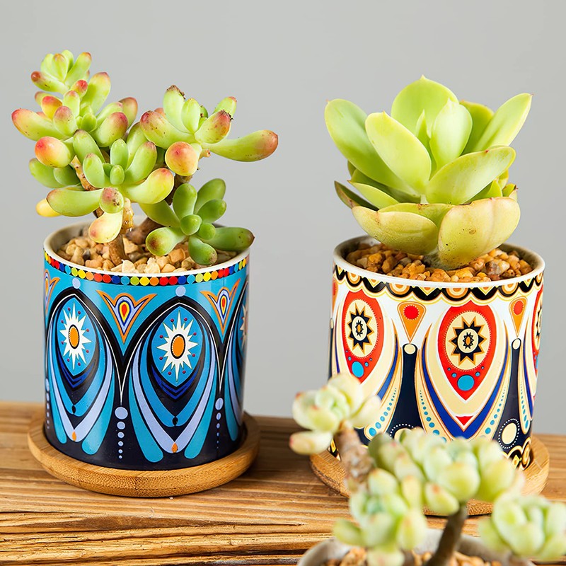 Kingrol 8 Pack Succulent Pots, Mini Ceramic Flower Planter Pot