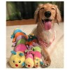 PLATZ PET SUPPLIS&FUN Dog Toy Small Dog Caterpie Jr.