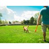 Flingerz Bug Ballistic Throw Toy Ball Launcher for Dogs (Ladybug)