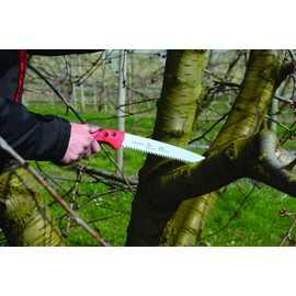 Felco Pruning Saw (F 611) - Classic Tree Pull Stroke Pruner Saw w/ Carrying Sheath