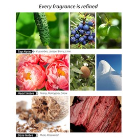 VEDA TINDA SCENT Hotel Diffuser Oil Blend, Hotel Scent Essential Oils for Home Waterless Diffuser, W1998 Luxury Fragrance Oil 2 Fl Oz (2 x 30ml)