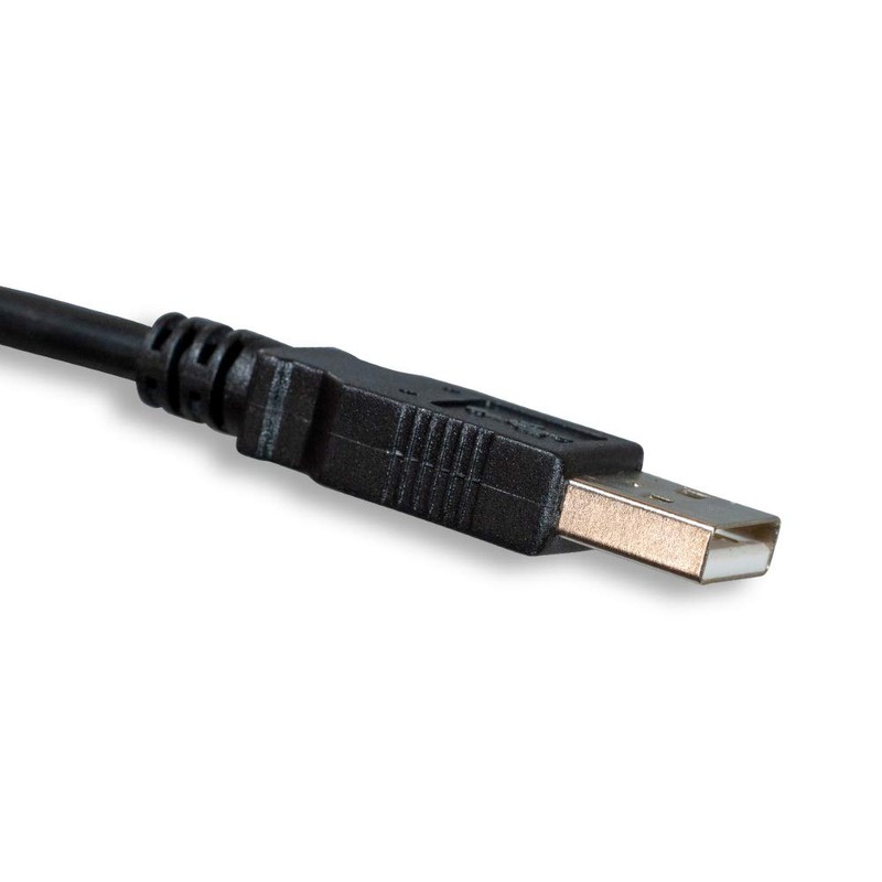 Cablelera USB AM/Micro B 5 M 10' Cable (ZCCJDLMM-10)