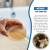Mold Test Kit for Home -DIY Mold Testing Kit with