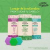 Grisi Organics, Shampoo Sólido Menta, 75 Gr