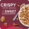 Kashi GO Protein Cereal, 10g Protein, 10g Fiber, Cinnamon Crunch,