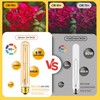 Sphoon Tubular Light Bulb 7.3 Inch Dimmable T10 LED Bulb