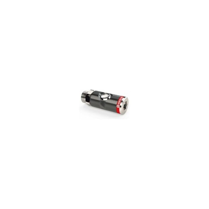 RIEGLER 199982 Push Button Safety Coupling NW 74 G1/4AG -