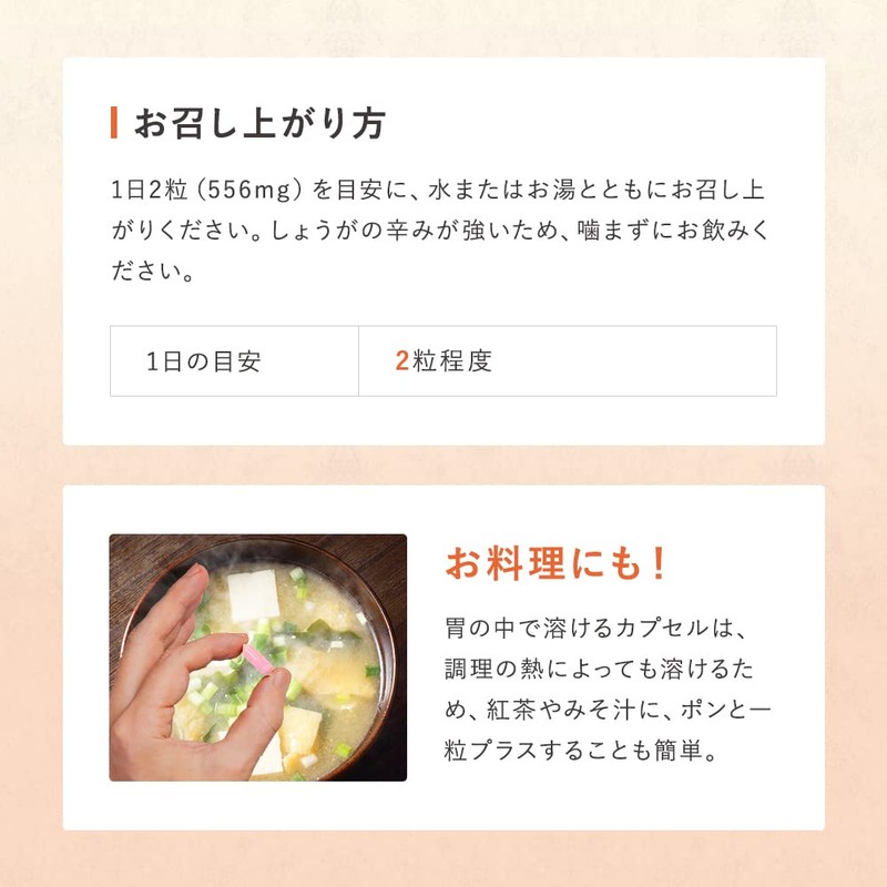 おひさましょうが しょうがカプセル 国産生姜使用 62粒入り サプリメント カプセルタイプ 約1か月分 抹消体温対策 冷え性対策 温活
