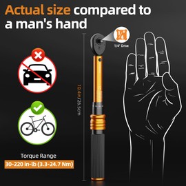 Small Torque Wrench Set 33PCS | 1/4" Drive 72-Tooth Click Type | Dual Scale 30-220 in-lb (3.3-24.7 Nm) | ISO Calibrated for Bicycle, Motorcycle & Carbon Parts | with Hex/Torx Bits, Sockets & Case