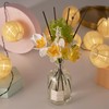 COCORRÍNA Reed Diffuser - Clean Linen 8.5 Fl.oz/ 250ml Flower