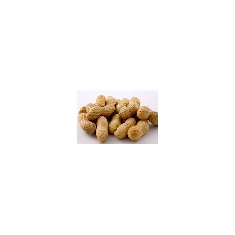 Gurley's Jumbo Peanuts In-Shell, Fire Roasted & Salted In Shell