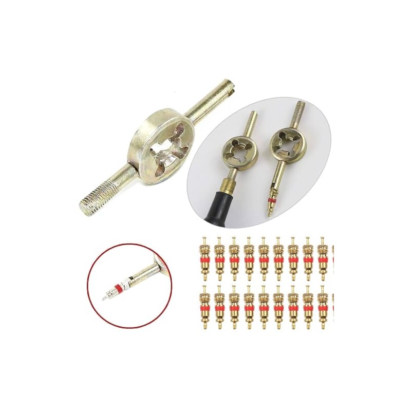 JOYVOX 33-Pcs Tire Valve Repair Kit with Core Remover &