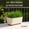 Lamela Rectangular Planter with Elegant Feet, Beige Flower Pot Made