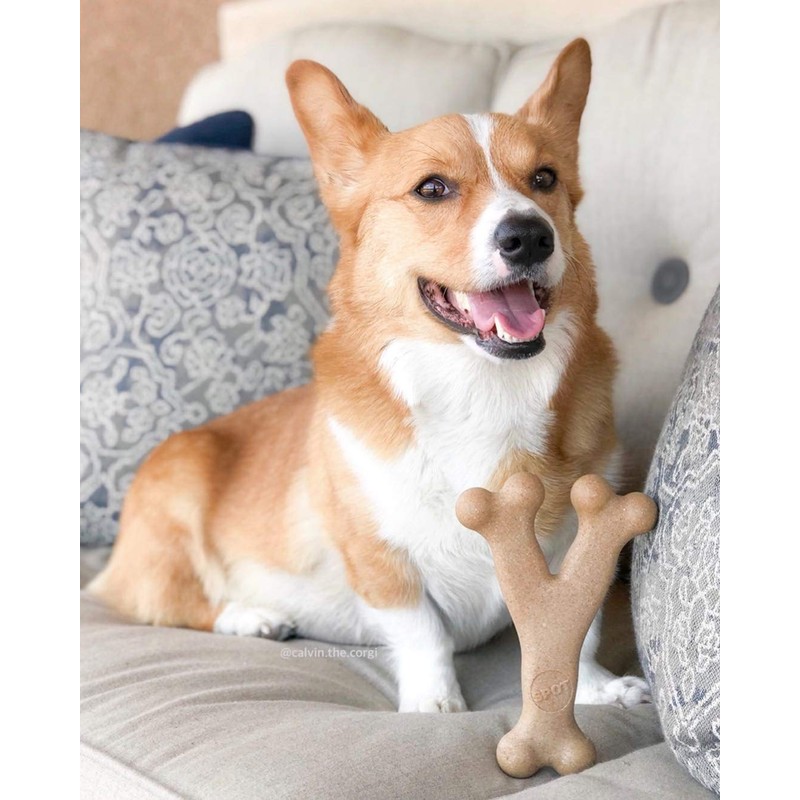 SPOT Bam-Bones Wishbone - Made with Strong Bamboo Fiber, Durable