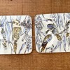 Cinnamon Blue Wren Coasters 6 Pieces Set