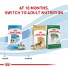 Royal Canin Croquetas de Cachorros, Mini Puppy, 1.13 kg, (El