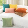 CaliTime Pack of 2 Cozy Throw Pillow Covers Cases for