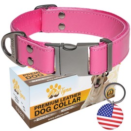 ADITYNA Pink Leather Dog Collar with Metal Buckle - Heavy-Duty, Adjustable for Large & Extra Large Girl Dogs - Walking & Training (Pink, Fits 19-30" Necks)