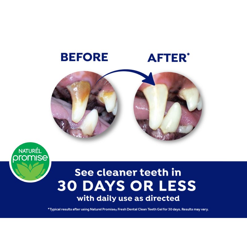 Fresh Dental Dog Toothpaste for Teeth Cleaning, Dog Breath Freshener,