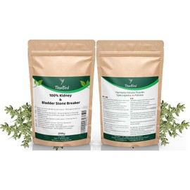 Behaartes Bruchkraut “Steinbrecher“ - Reinigung der Nieren und Blase - Verhindert die Bildung von Nieren und Blasensteinen und Beseitigt sie