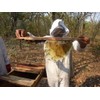 Mama Buci Top Bar Hive Zambian Pure Honey Ethically Produced