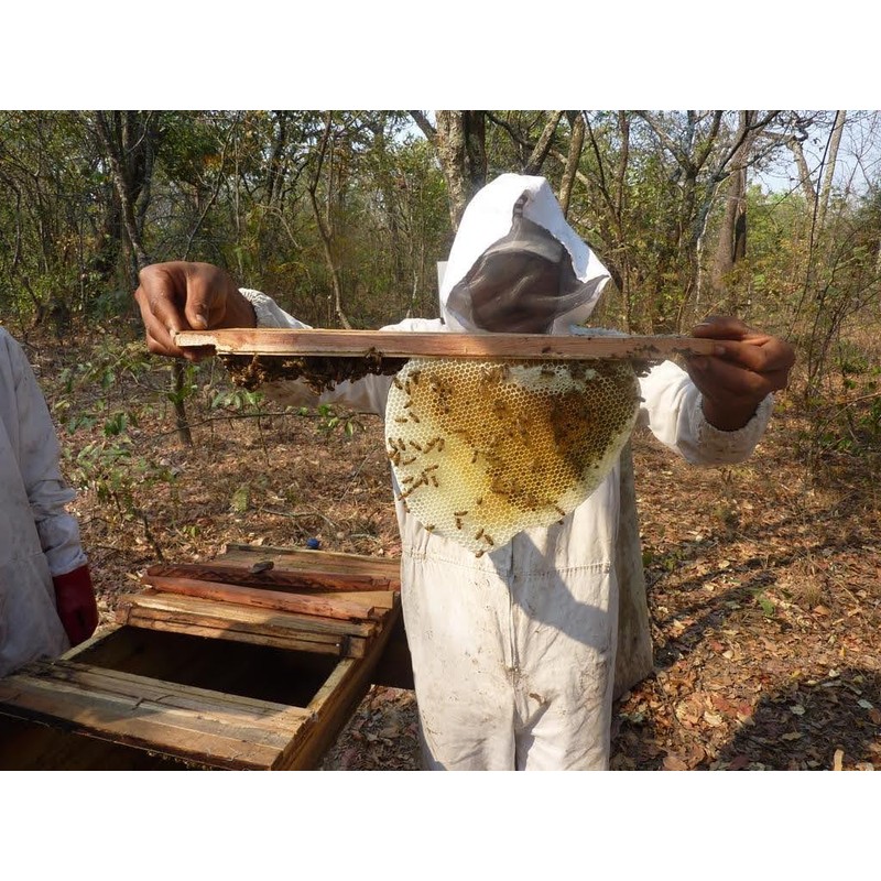 Mama Buci Top Bar Hive Zambian Pure Honey Ethically Produced