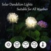 GUOCHENG Dandelion Solar Garden Lights Waterproof Outdoor LED Landscape Lights,