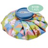 Skater ICB2-A Ice Bag, M, Moomin, Anime, 8.3 inches (21
