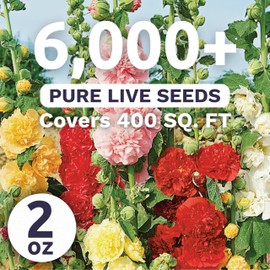 Hollyhock 'Chater's Double' Mix - Bulk 2 Ounce Pouch - 6,000 Flower Seeds for Planting - Alcea rosea