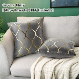 Hanrunsi Graue Kissenbezüge Samt 45cmx45cm Dekorative Quadratische Kissenbezüge 2er Pack Samt Kissenbezüge für Sofakissen für Couchbett Wohnzimmer Wohnkultur